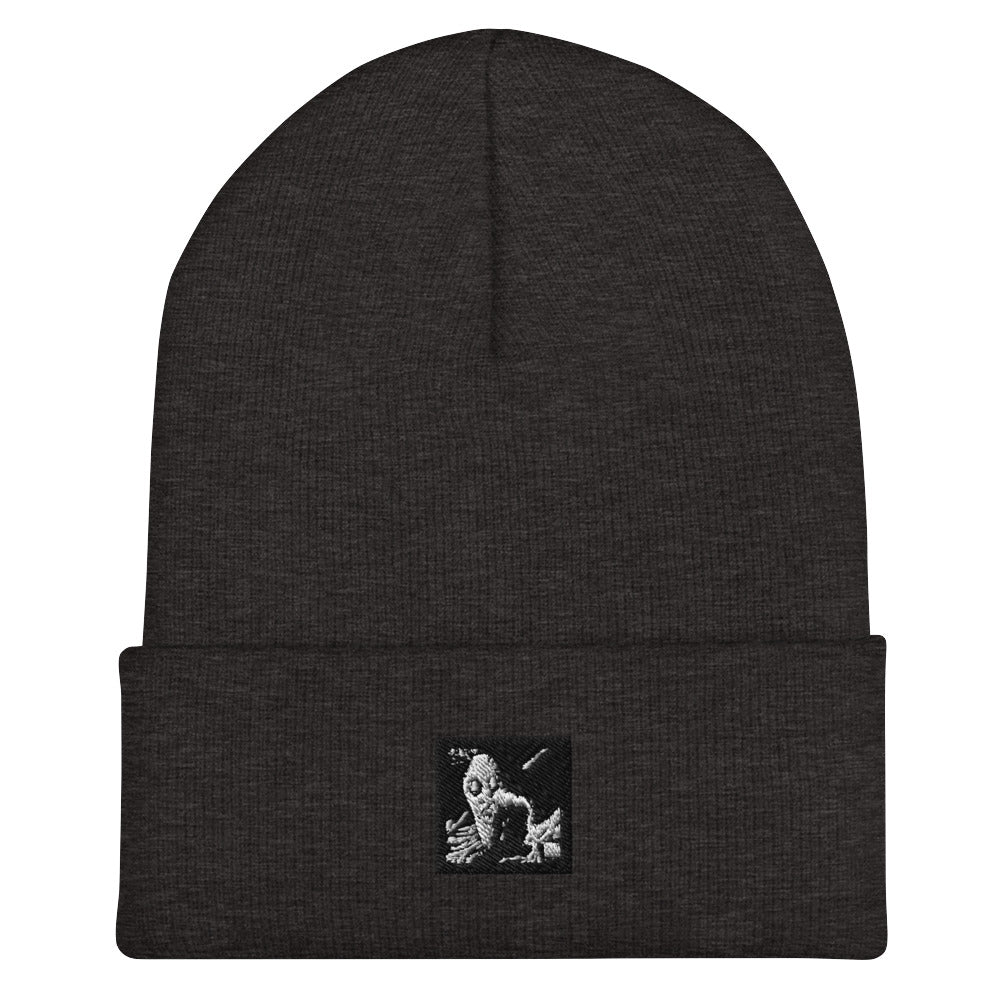 Anthromo Sombience Cuffed Beanie